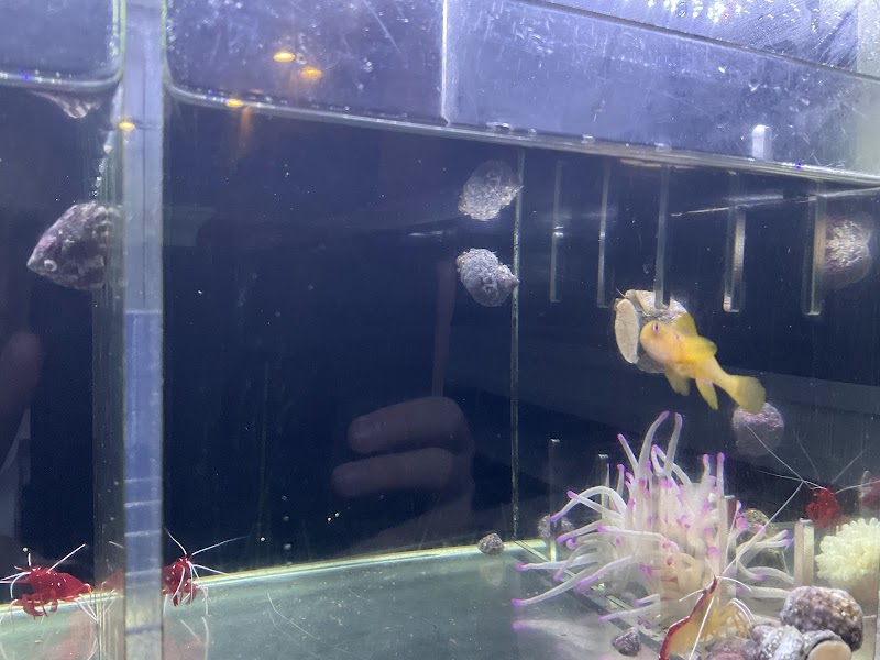 Complete Aquarium - Photo 3