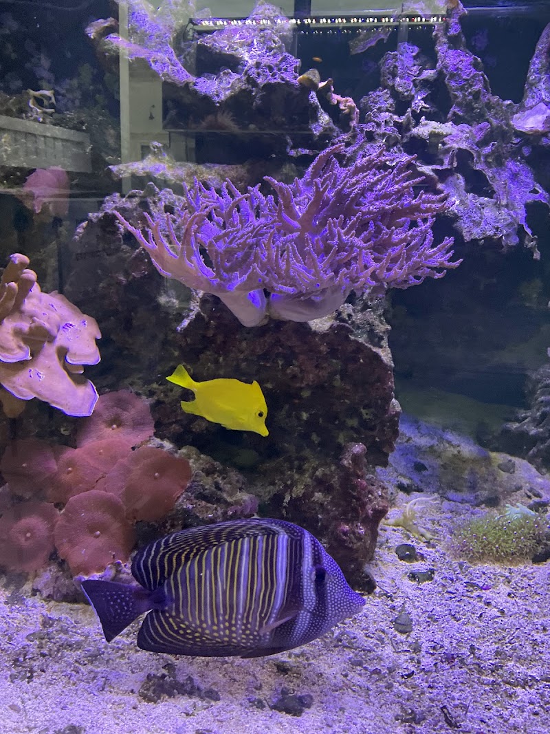 Complete Aquarium - Photo 4