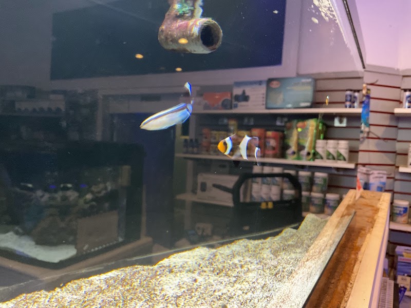 Complete Aquarium - Photo 5