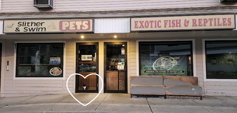 Slither & Swim - Photo 1