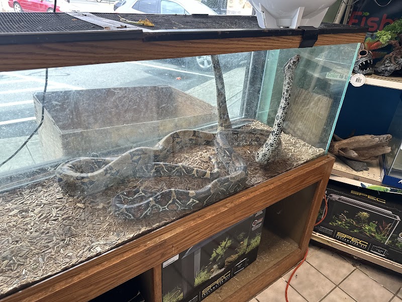 Slither & Swim - Photo 4