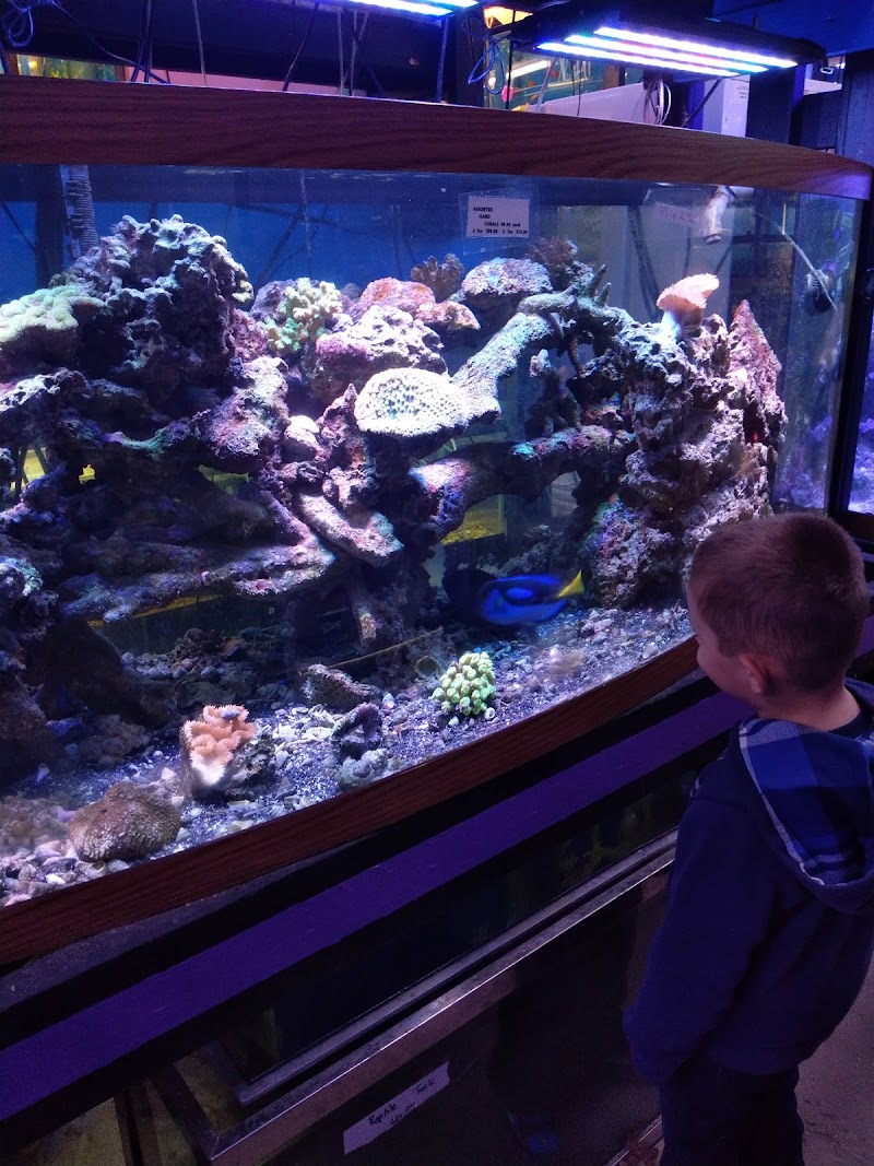 Waterbury Aquarium - Photo 2