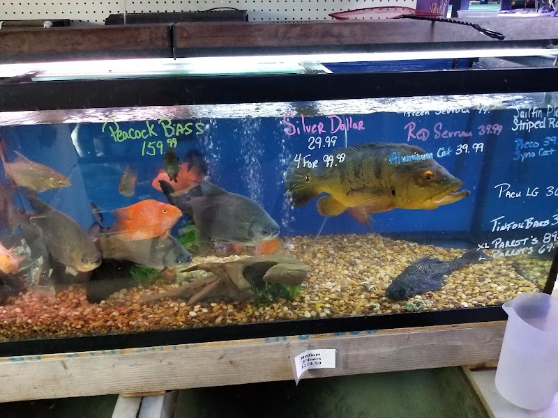 Waterbury Aquarium - Photo 3