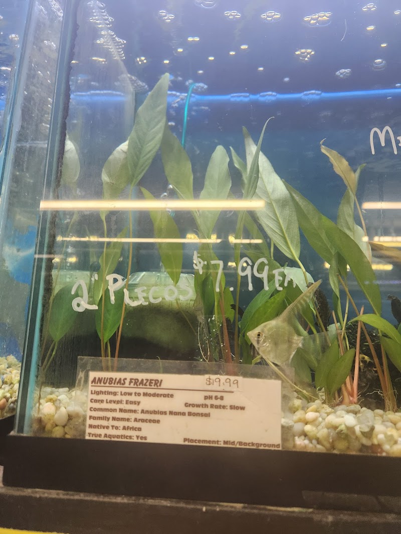 Waterbury Aquarium - Photo 5