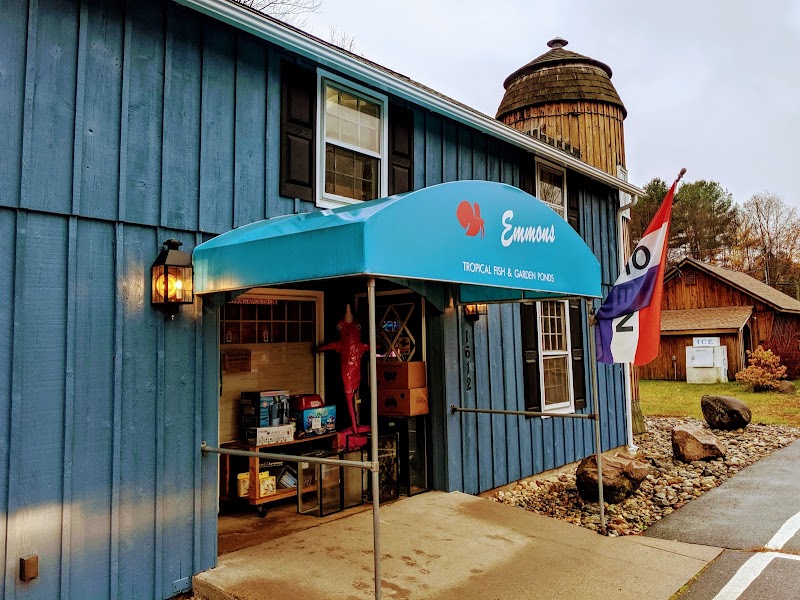 Emmons Tropical Fish & Ponds - Photo 1