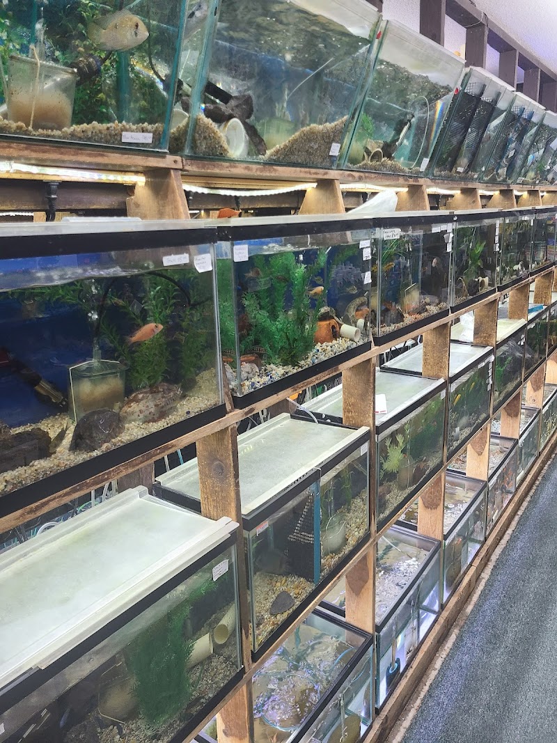 Emmons Tropical Fish & Ponds - Photo 2