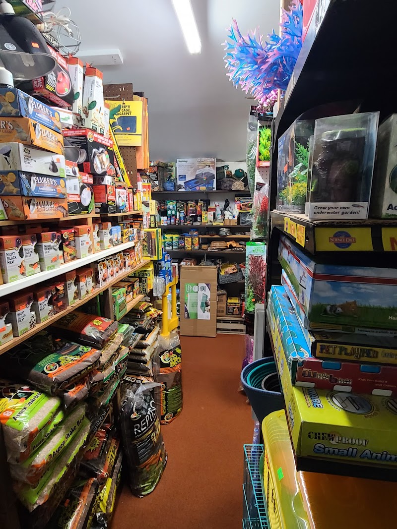 Emmons Tropical Fish & Ponds - Photo 4