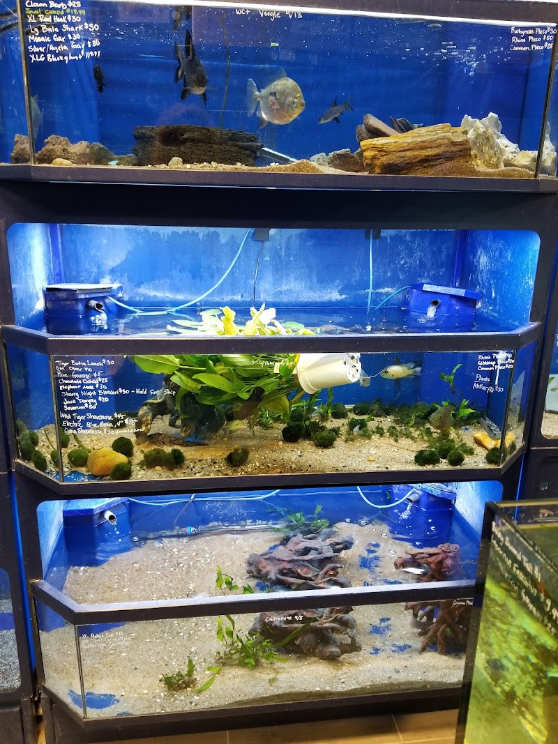 Aquatic Wildlife Co - Photo 2