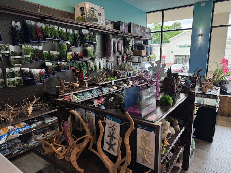 Aquatic Wildlife Co - Photo 4