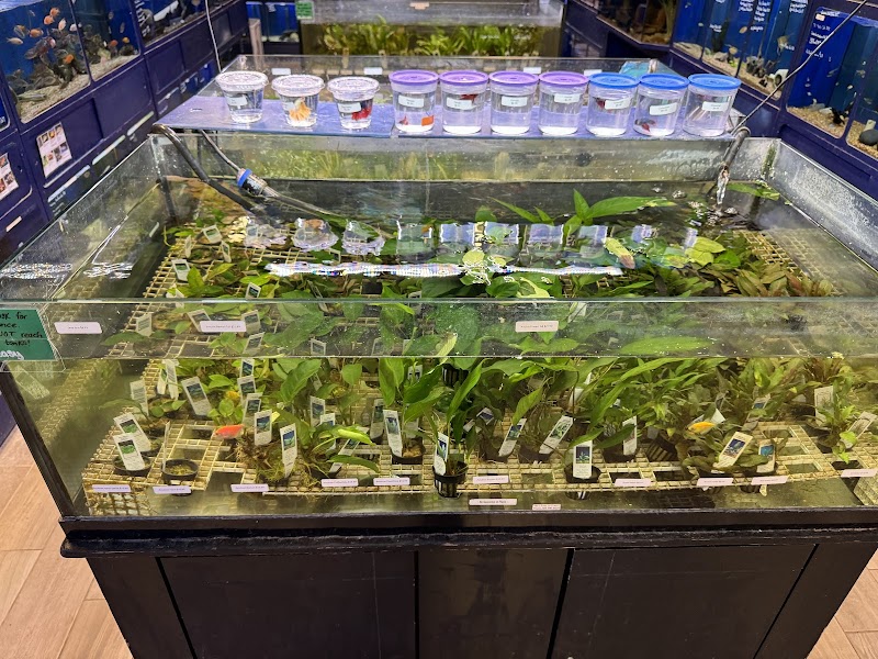 Aquatic Wildlife Co - Photo 5