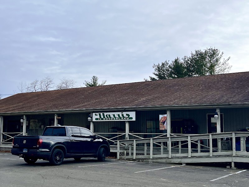 Harris In Wonderland - Photo 1