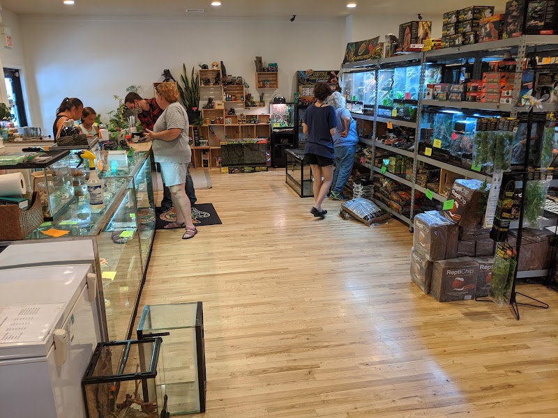 Harris In Wonderland - Photo 2