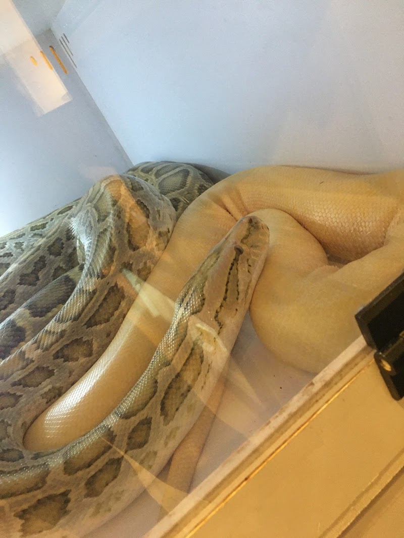 Harris In Wonderland - Photo 3