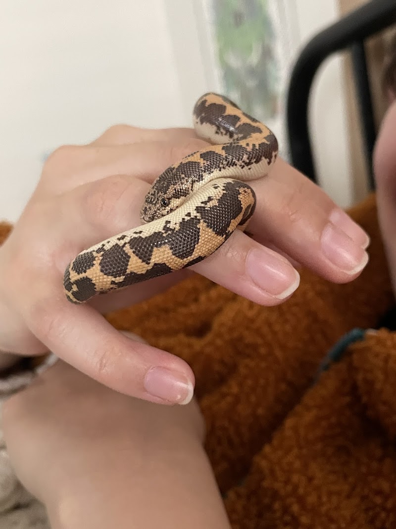 Harris In Wonderland - Photo 4