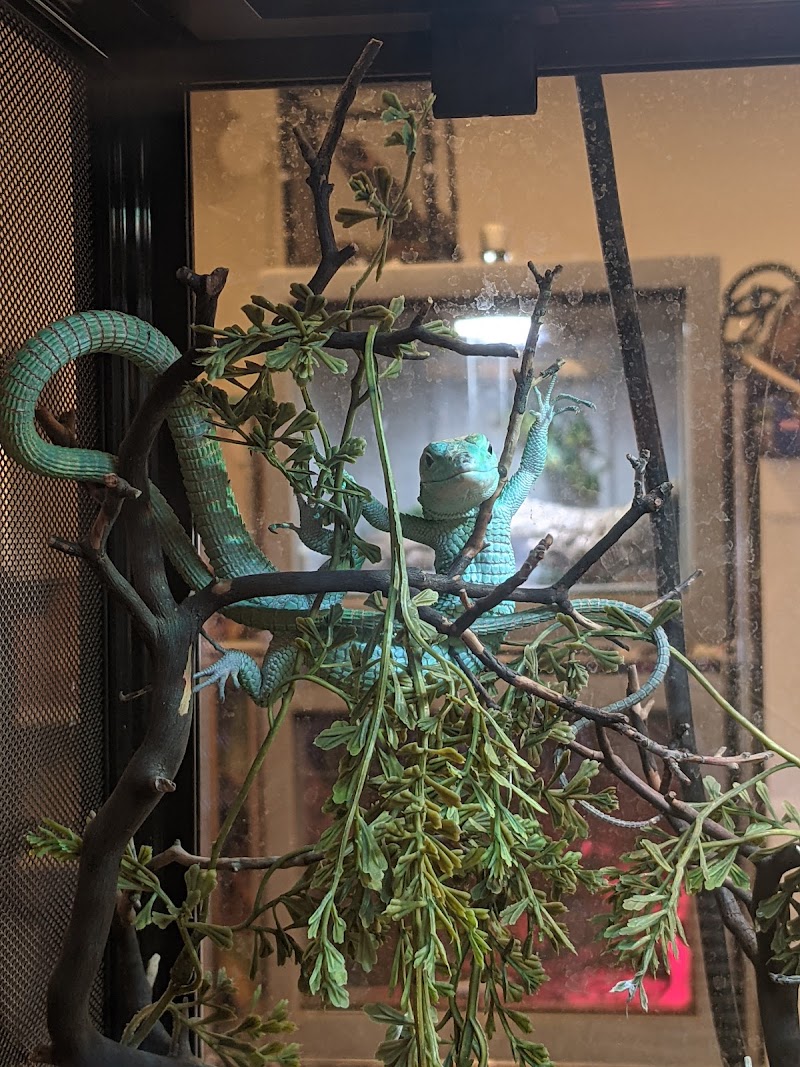 Harris In Wonderland - Photo 5