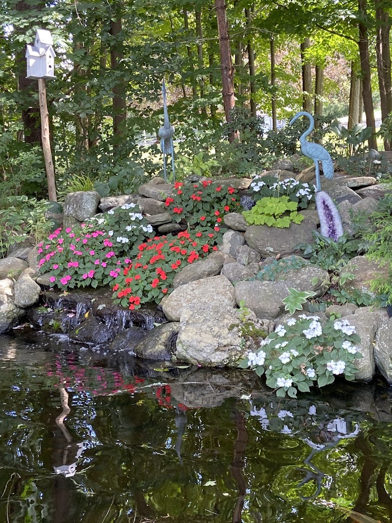 Pondering Creations - Photo 2