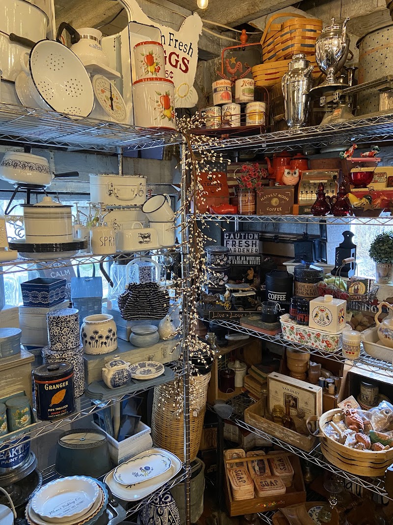 Pondering Creations - Photo 4