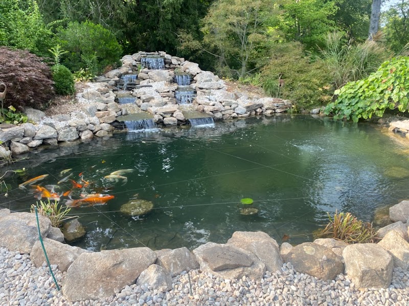 Pondering Creations - Photo 5