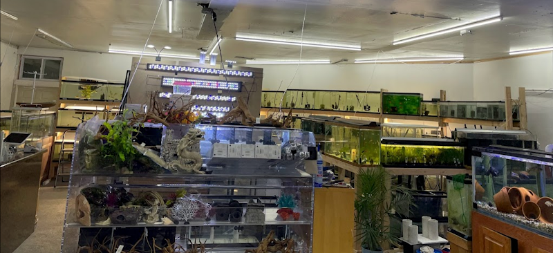 Danbury Aquarium and supplies - Photo 1