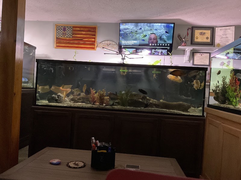 Danbury Aquarium and supplies - Photo 5