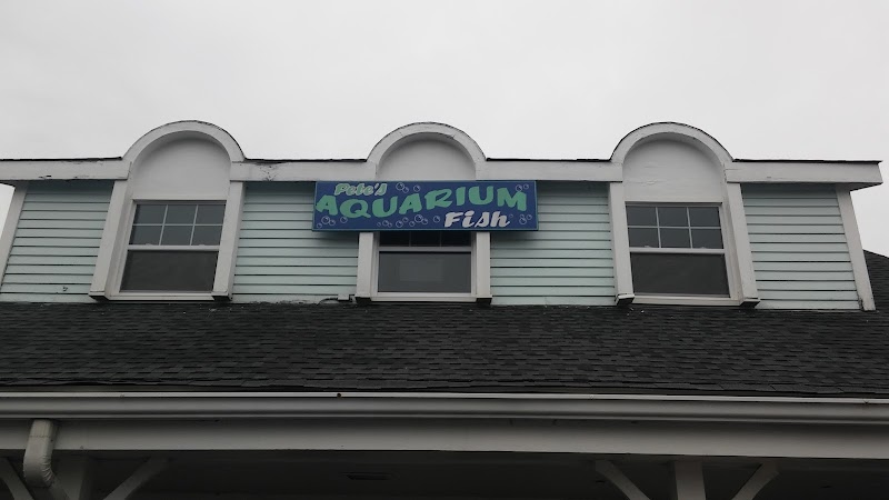 Pete's Aquariums & Fish - Photo 1
