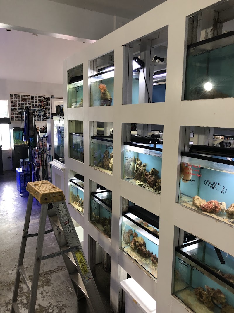 Pete's Aquariums & Fish - Photo 3