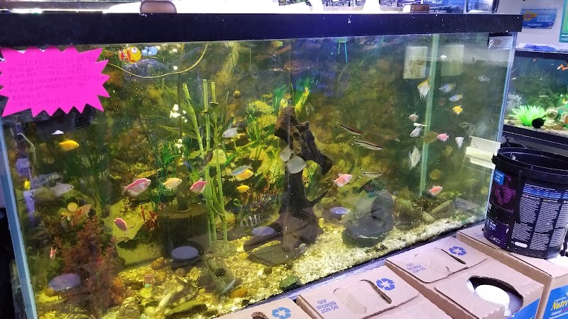 Alex's Advanced Aquatics - Photo 1