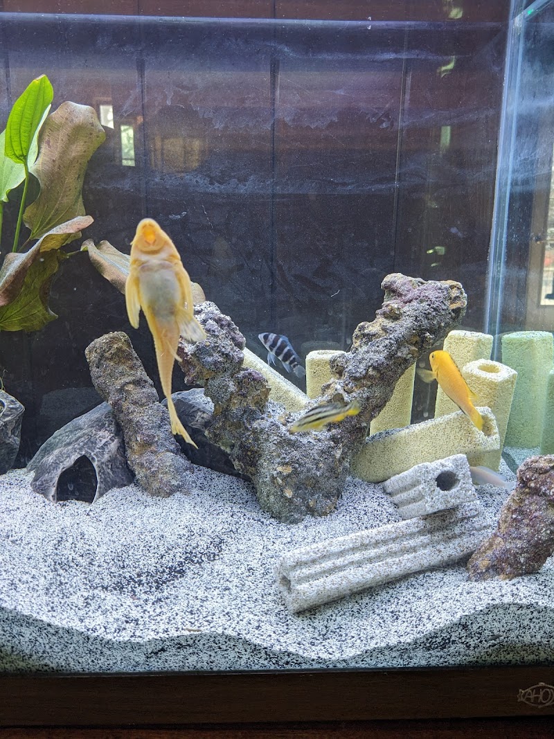 Imperial Exotics - Photo 2