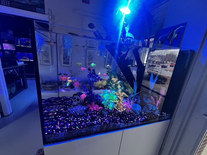 Alpha Aquatic Arts (formerly The Purrfect aquarium) - Photo 2