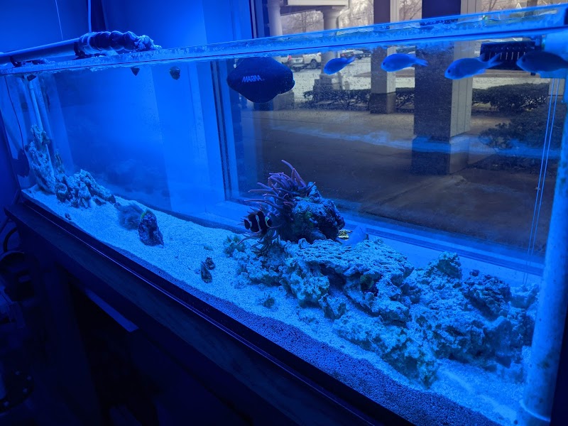Alpha Aquatic Arts (formerly The Purrfect aquarium) - Photo 5