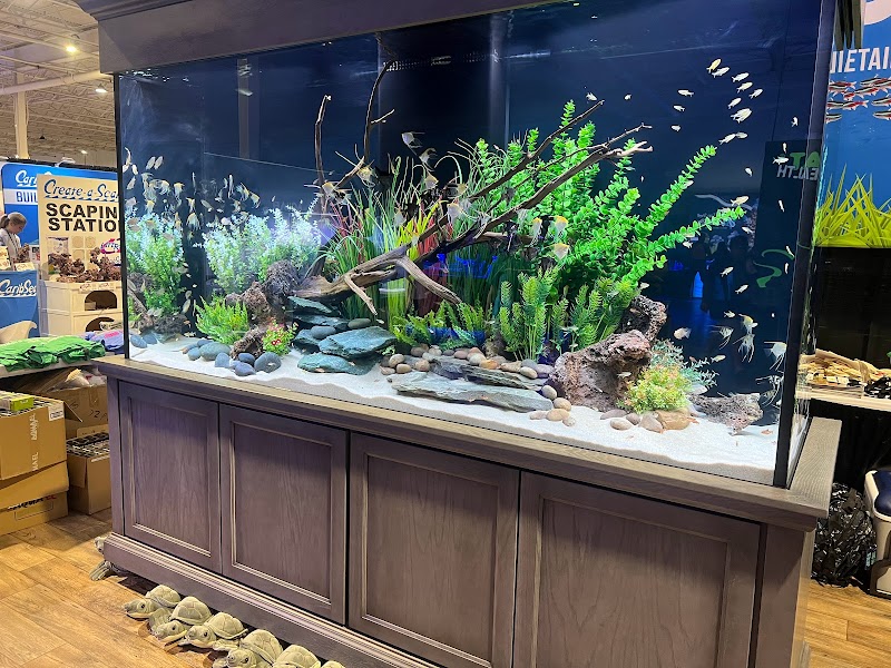 OSA Aquarium Superstores & Services - Groton CT - Photo 3