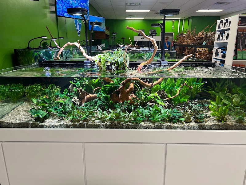 OSA Aquarium Superstores & Services - Groton CT - Photo 4