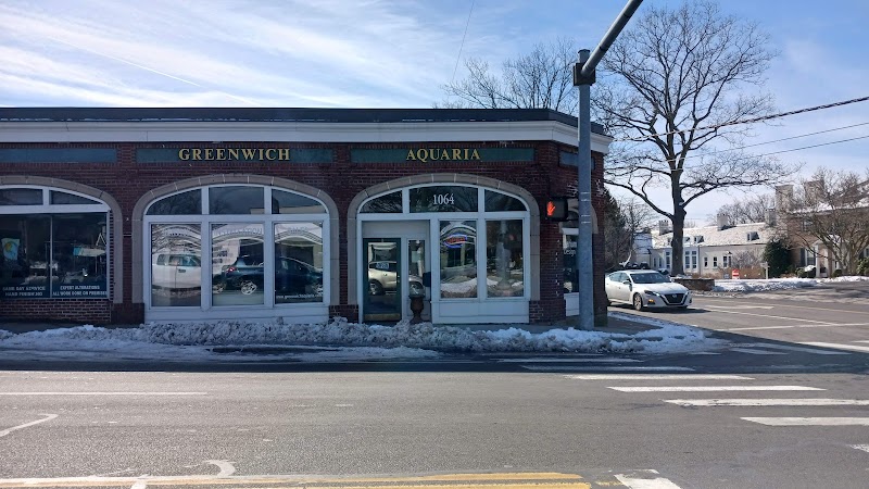 Greenwich Aquaria - Photo 1