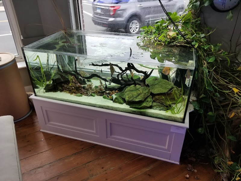 Greenwich Aquaria - Photo 2