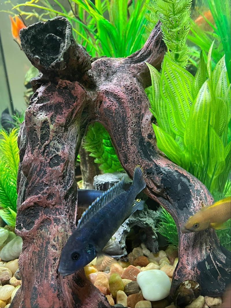 Greenwich Aquaria - Photo 5