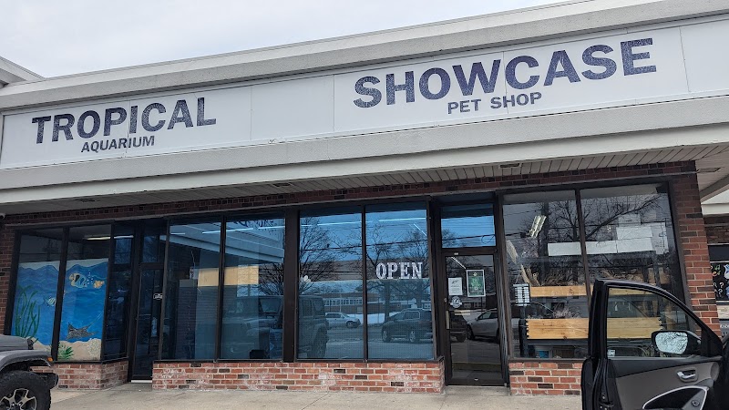 Tropical Showcase - Photo 1