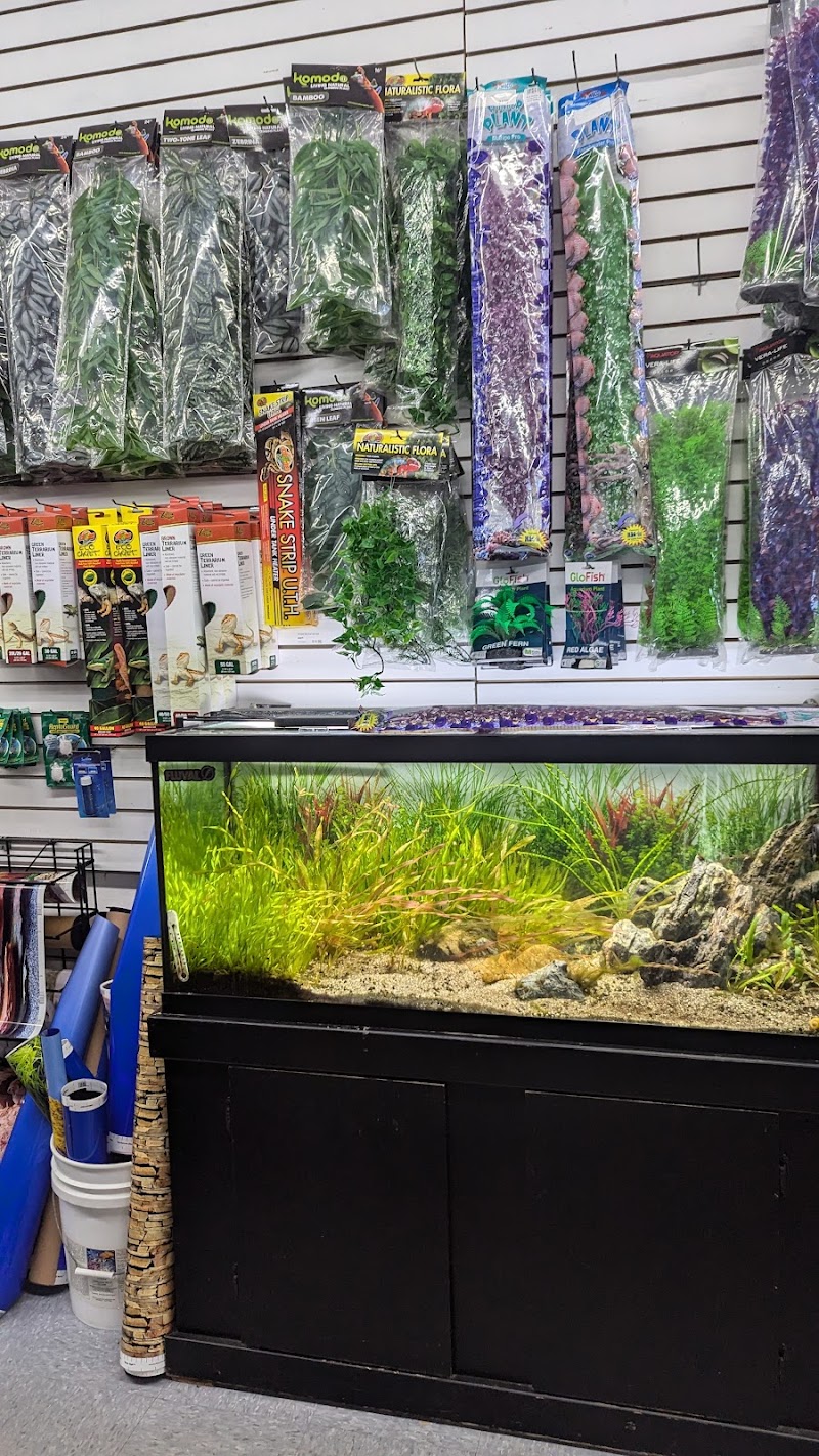 Tropical Showcase - Photo 5