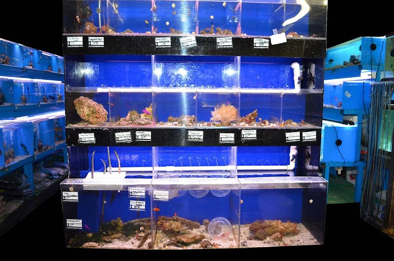 Lovely Pets Aquarium - Photo 2