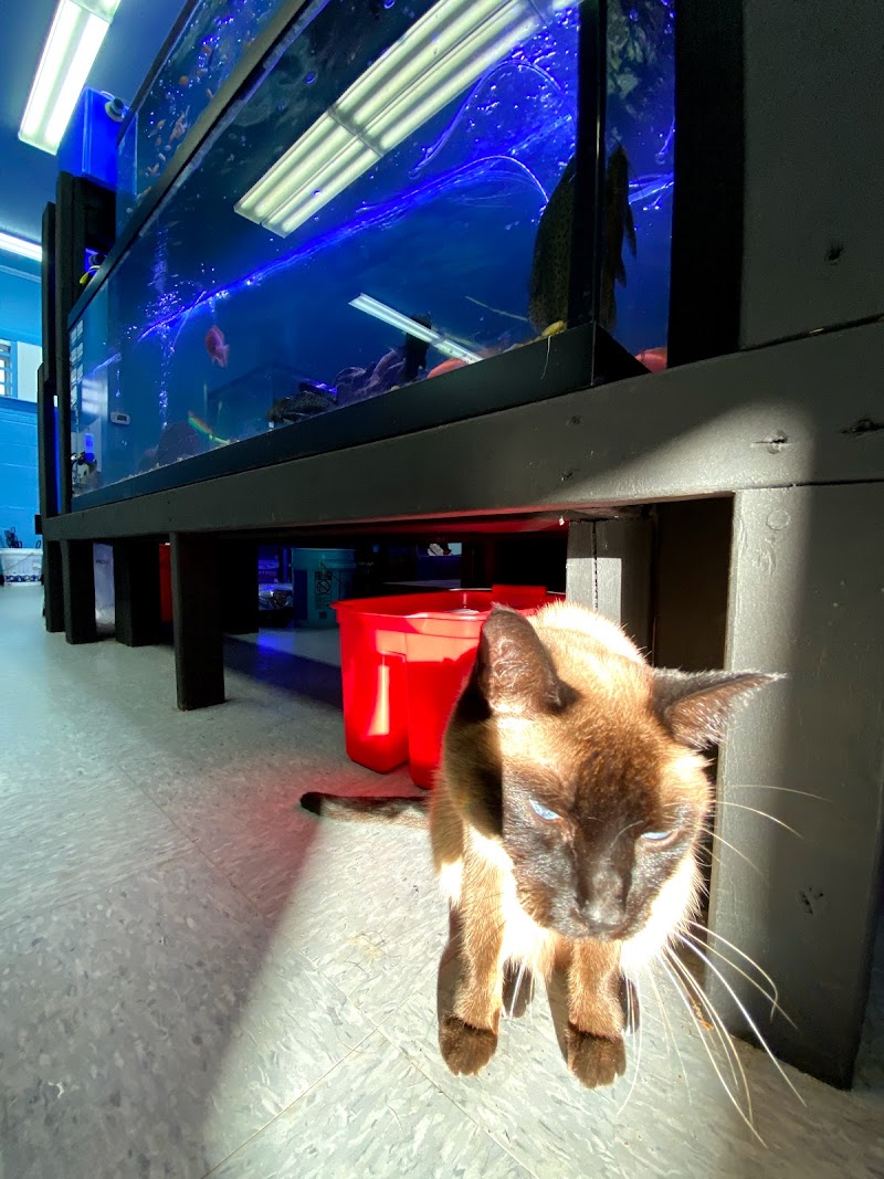 Lovely Pets Aquarium - Photo 4