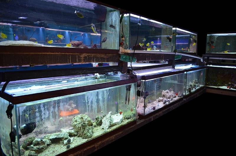 Lovely Pets Aquarium - Photo 5