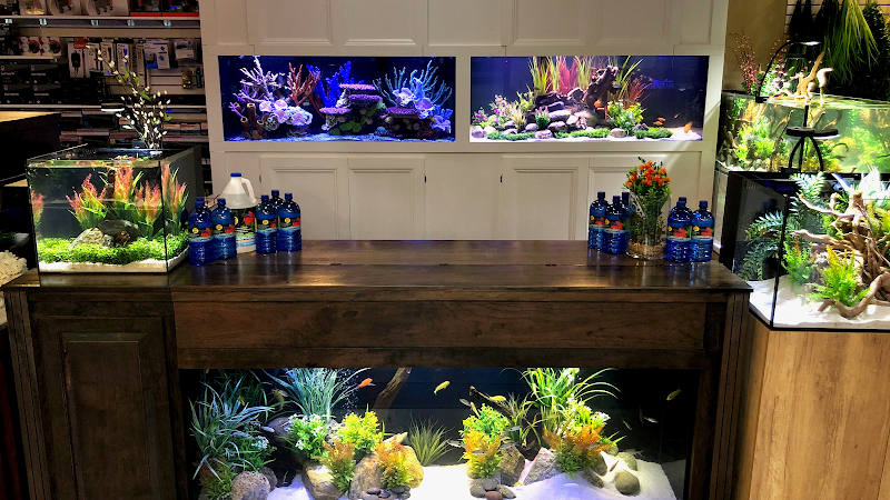 OSA Aquarium Superstore & Services -Coventry RI - Photo 2