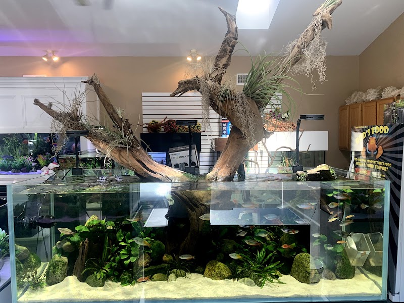 OSA Aquarium Superstore & Services -Coventry RI - Photo 4