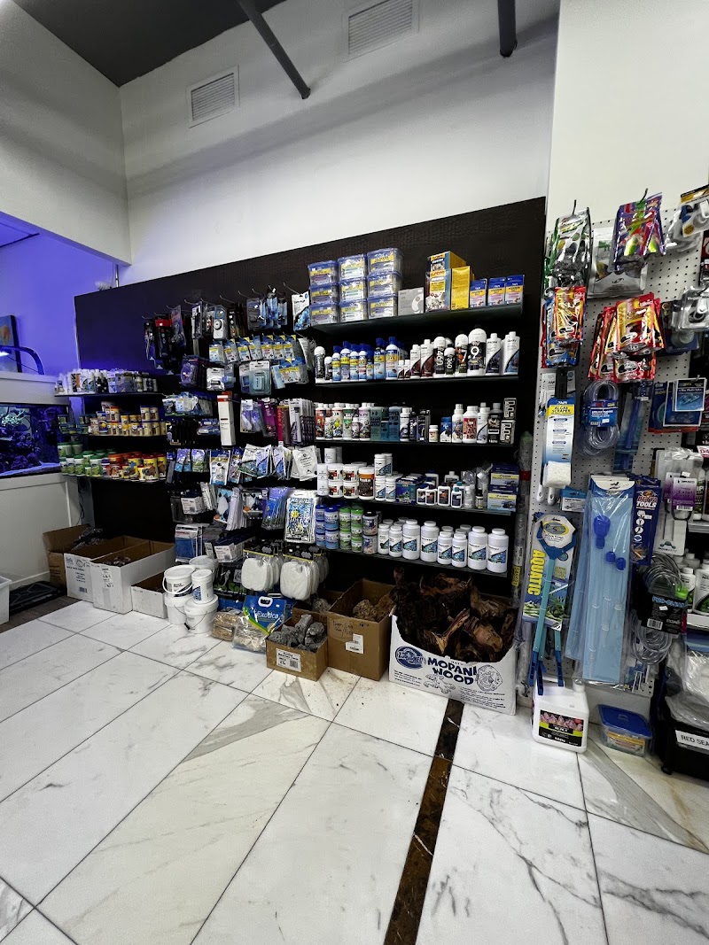 Jawz Aquarium - Photo 2