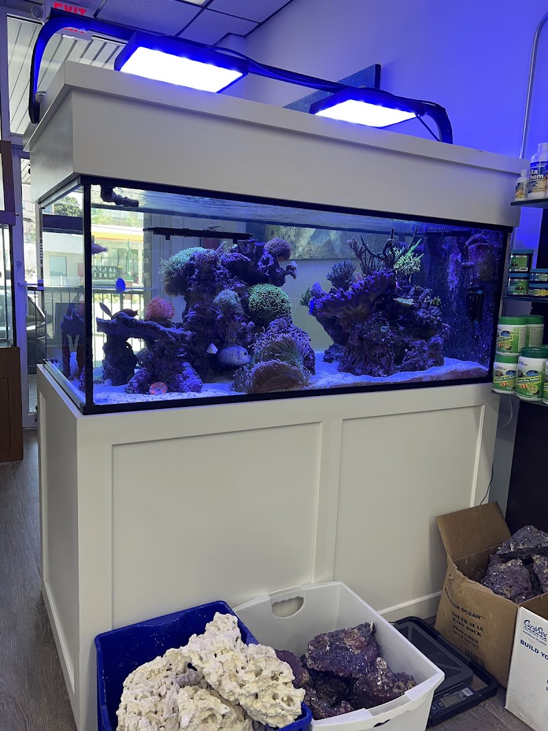 Jawz Aquarium - Photo 3