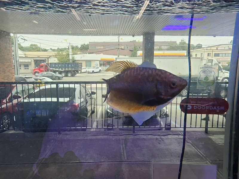 Jawz Aquarium - Photo 4