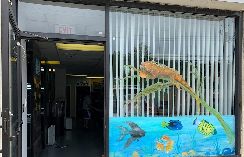 A & R Reptiles and Aquariums - Photo 1