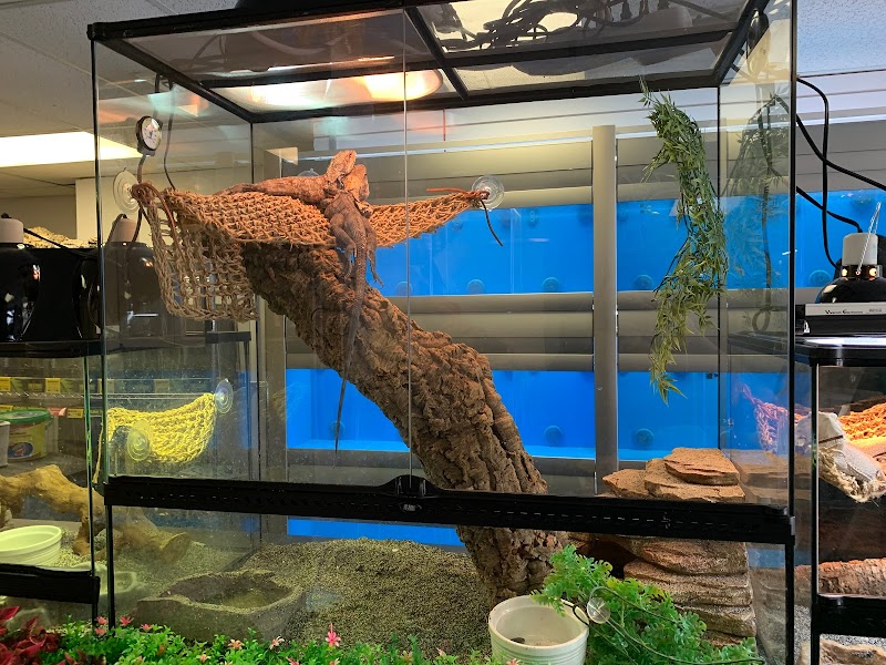 A & R Reptiles and Aquariums - Photo 2