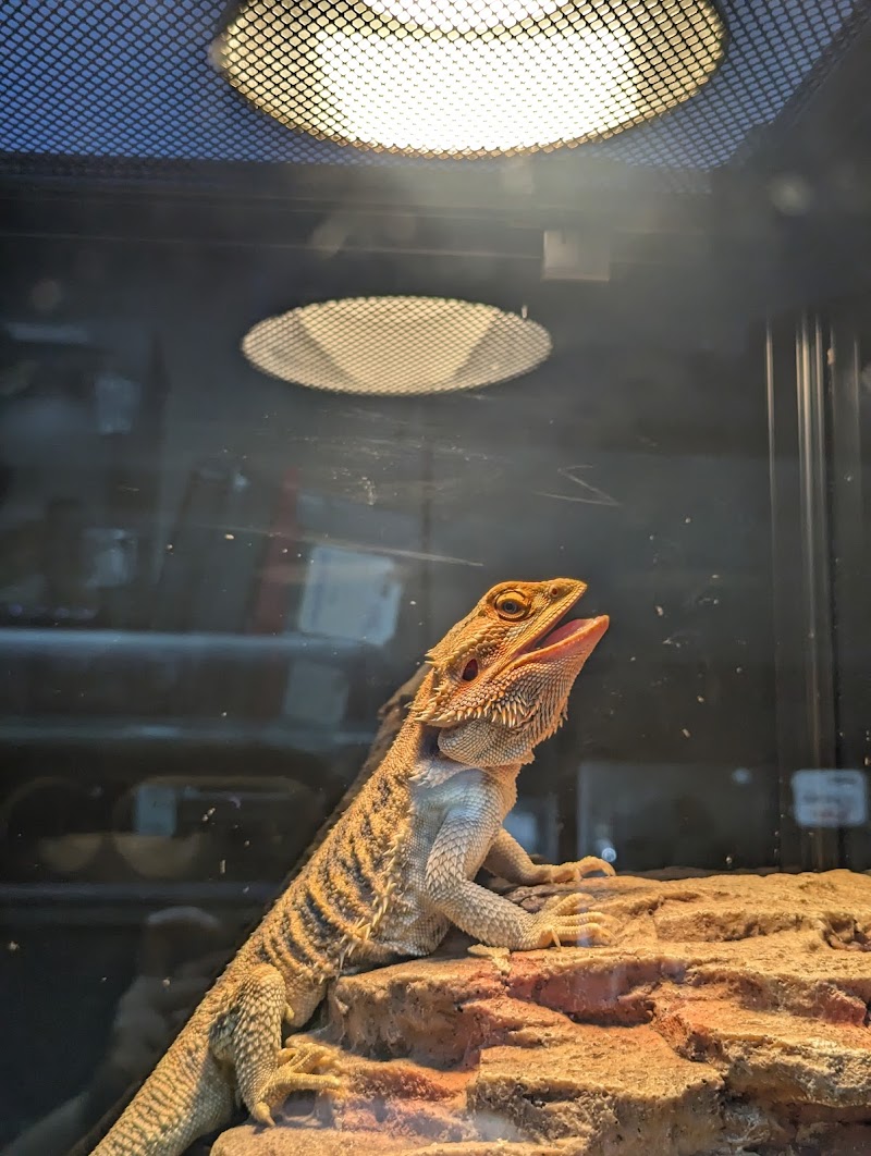 A & R Reptiles and Aquariums - Photo 3