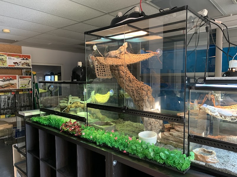A & R Reptiles and Aquariums - Photo 5