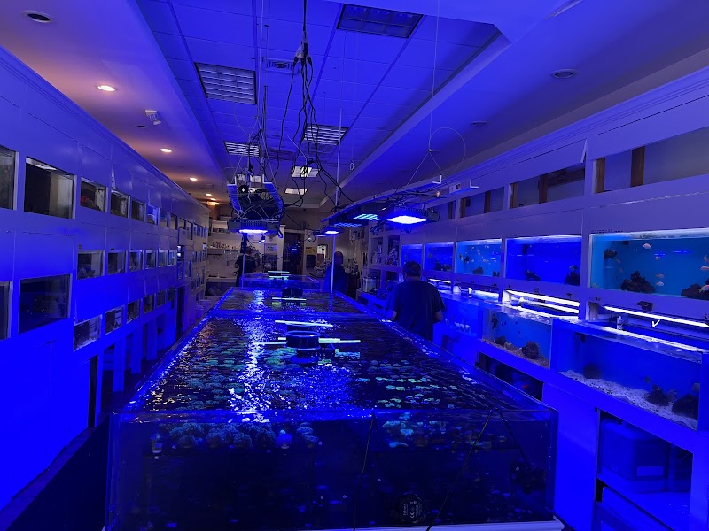 Advanced Marine Aquatics - Photo 2